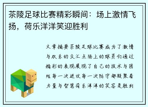茶陵足球比赛精彩瞬间：场上激情飞扬，荷乐洋洋笑迎胜利