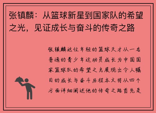 张镇麟：从篮球新星到国家队的希望之光，见证成长与奋斗的传奇之路