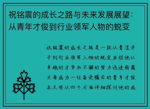祝铭震的成长之路与未来发展展望：从青年才俊到行业领军人物的蜕变