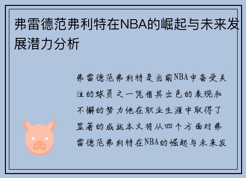弗雷德范弗利特在NBA的崛起与未来发展潜力分析