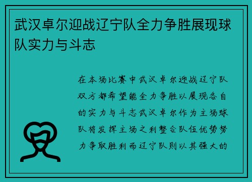 武汉卓尔迎战辽宁队全力争胜展现球队实力与斗志